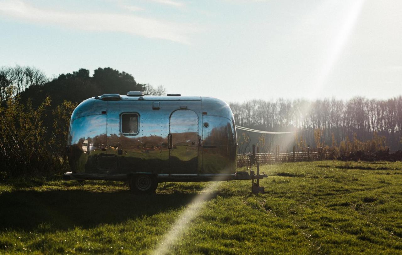 Silver Airstream Glamping & Rental Chichester Exterior foto